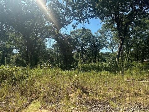 1 Driftwood Road Kingston OK 73439