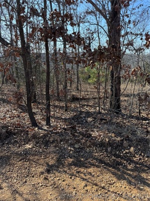 S 4556 ROAD, VIAN, OK 74962 - Image ac46d9c268c8a7918cfb866ef50182fc/4251634589