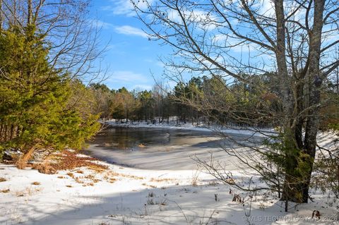 32 E 2030 Road Fort Towson OK 74735