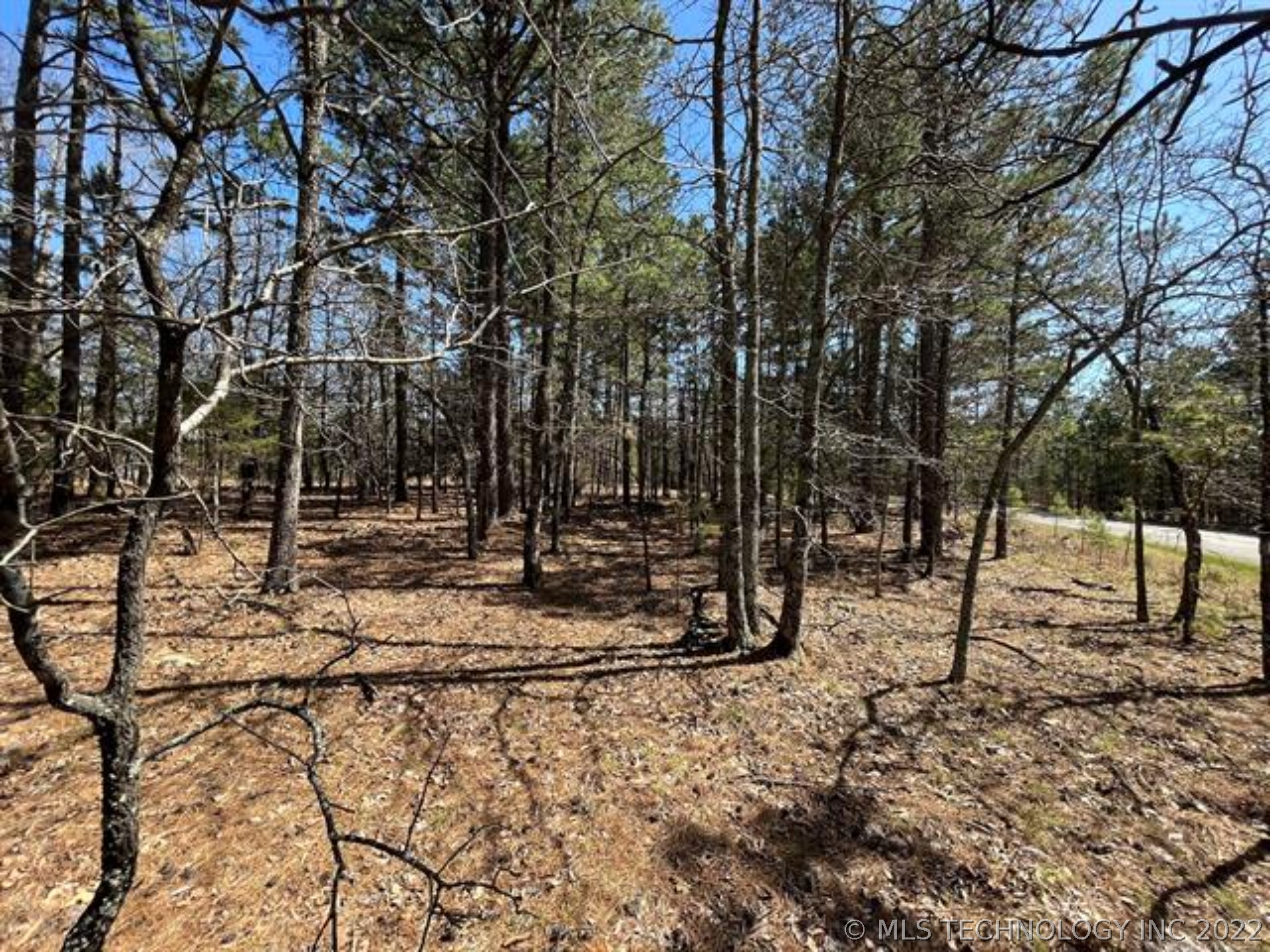 Photo 21 of 38 of E Ridge Drive land