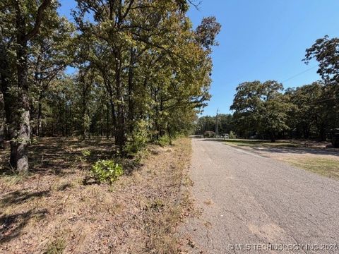 6 Brandy Lane Tishomingo OK 73460