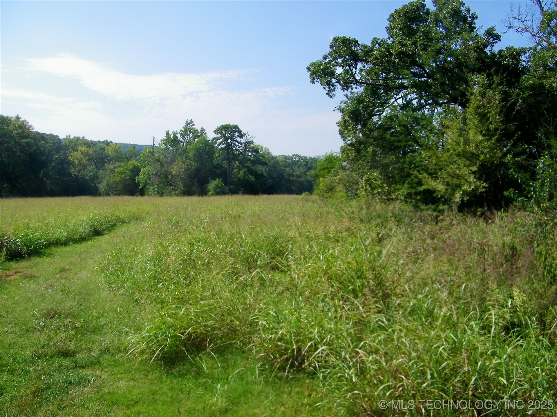 901 Sycamore Loop