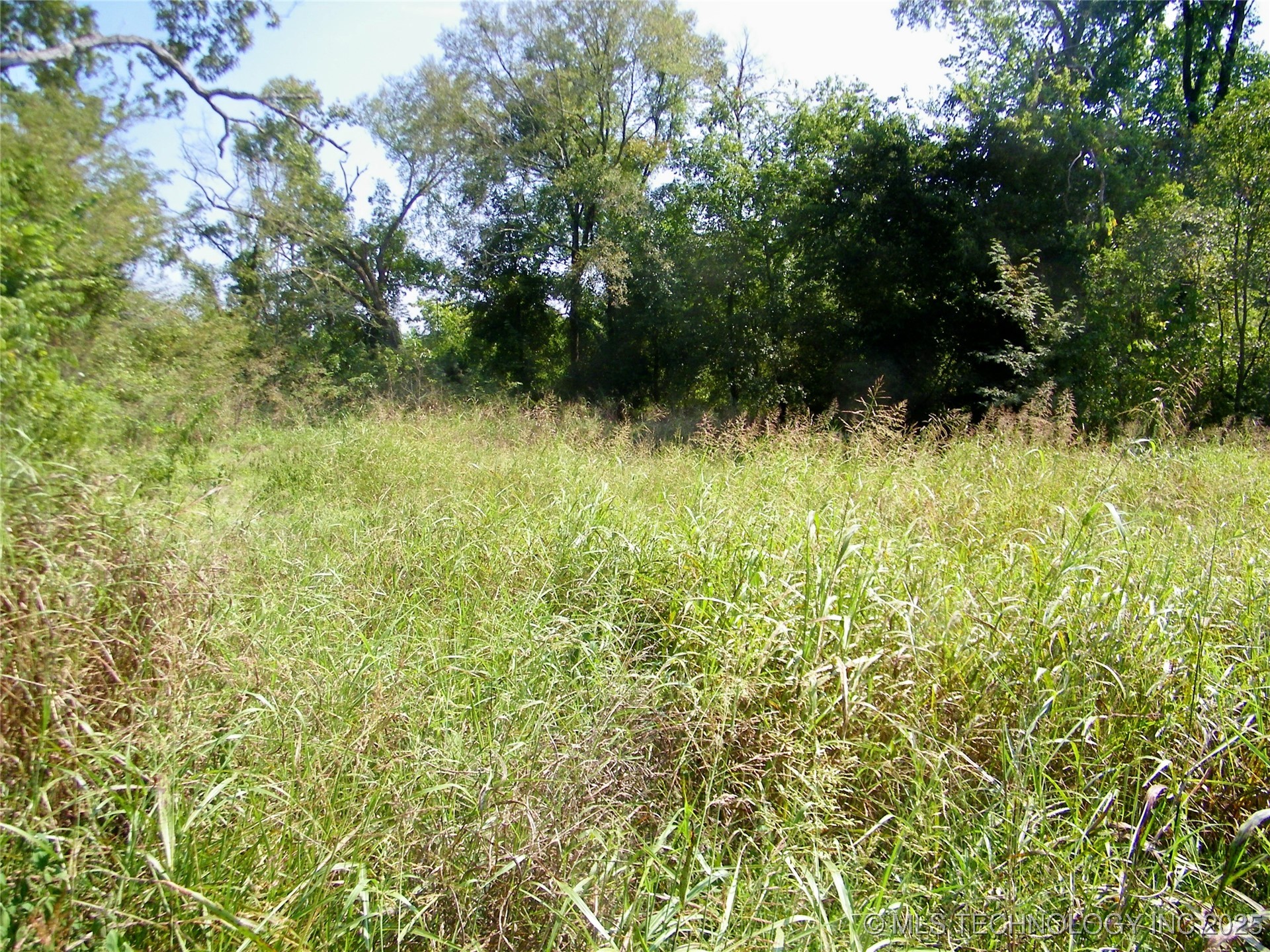 901 Sycamore Loop
