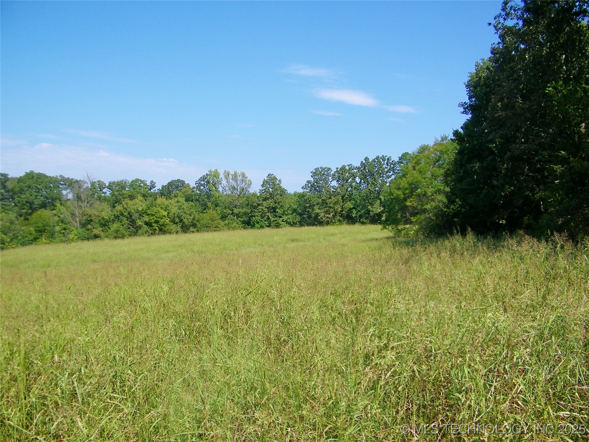 901 Sycamore Loop
