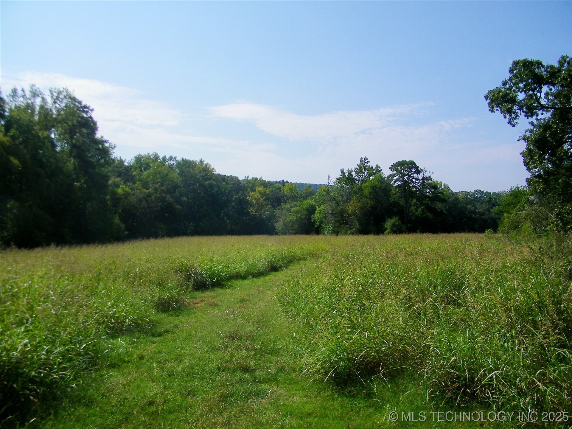 901 Sycamore Loop