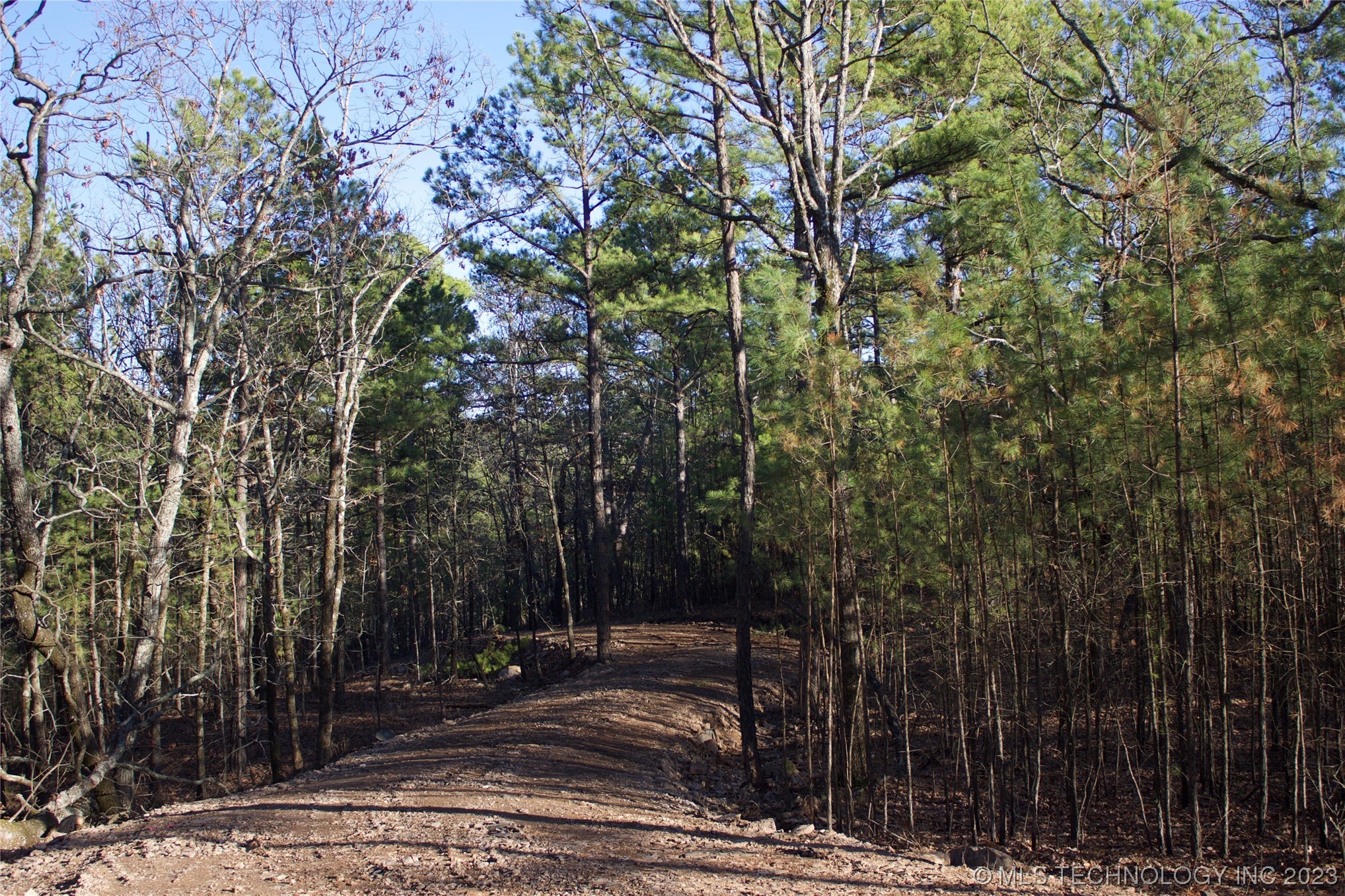 Photo 1 of 4 of 28 SE 1000 Avenue land