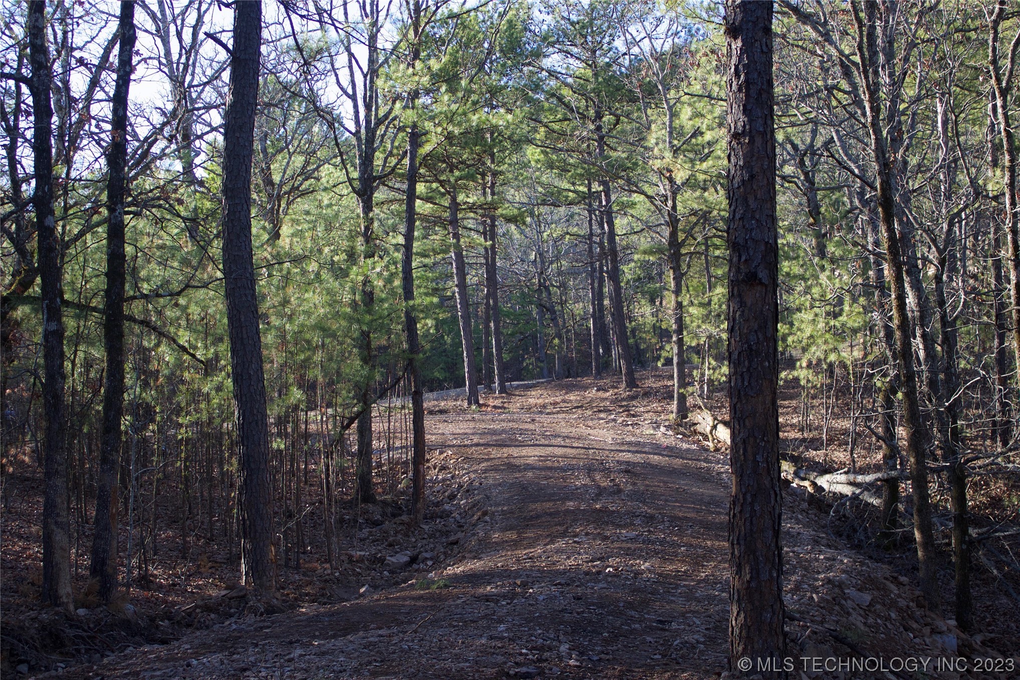 Photo 2 of 4 of 28 SE 1000 Avenue land