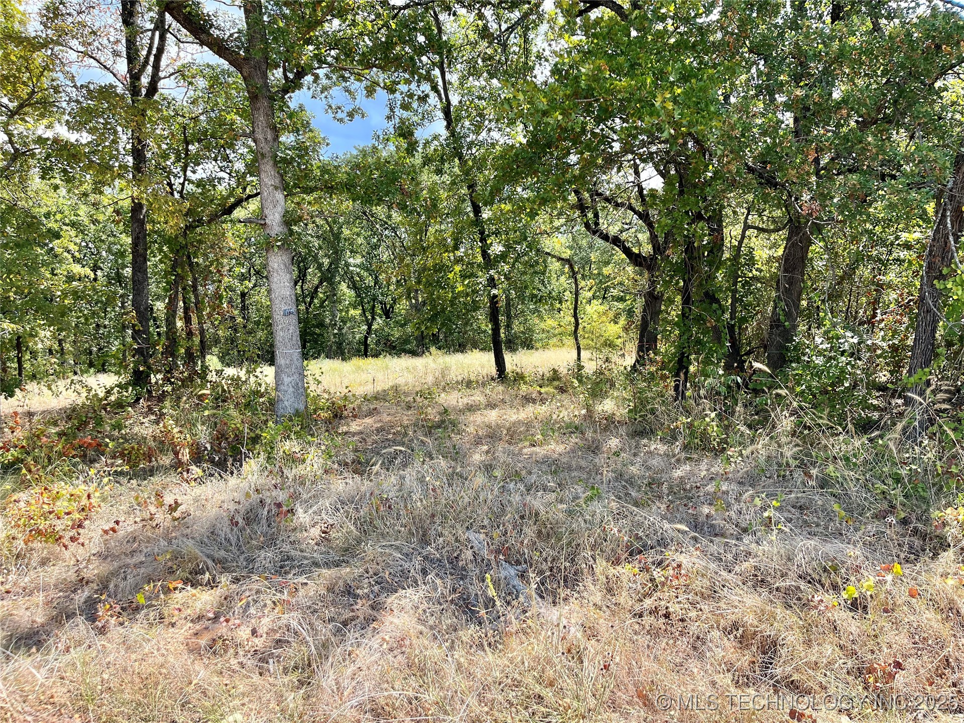 Texoma Park Road