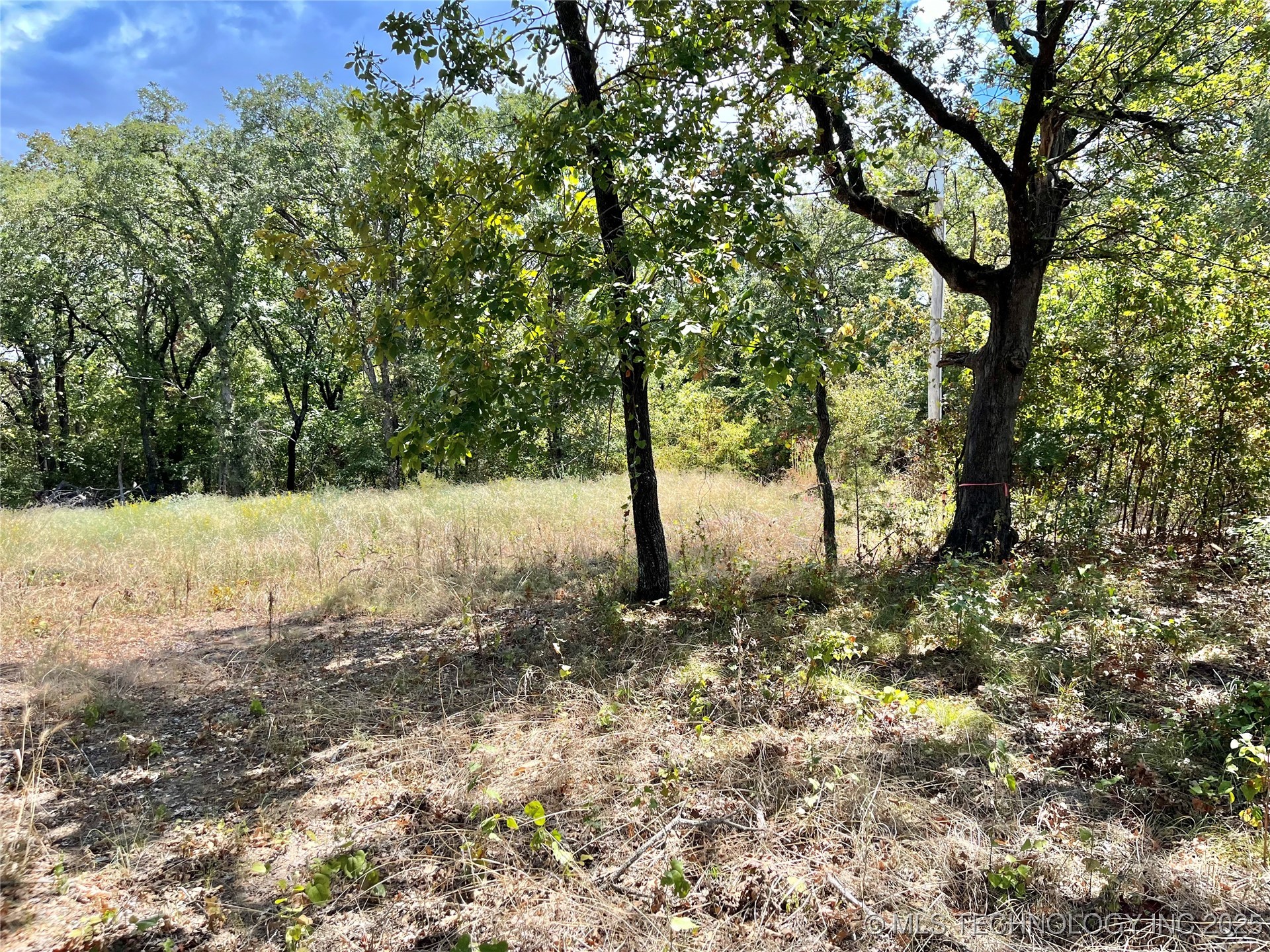 Texoma Park Road
