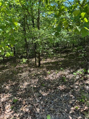 S 4531, VIAN, OK 74962 - Image bbe5412dc2a7c463ff34bd4e57ad05e7/1523635656