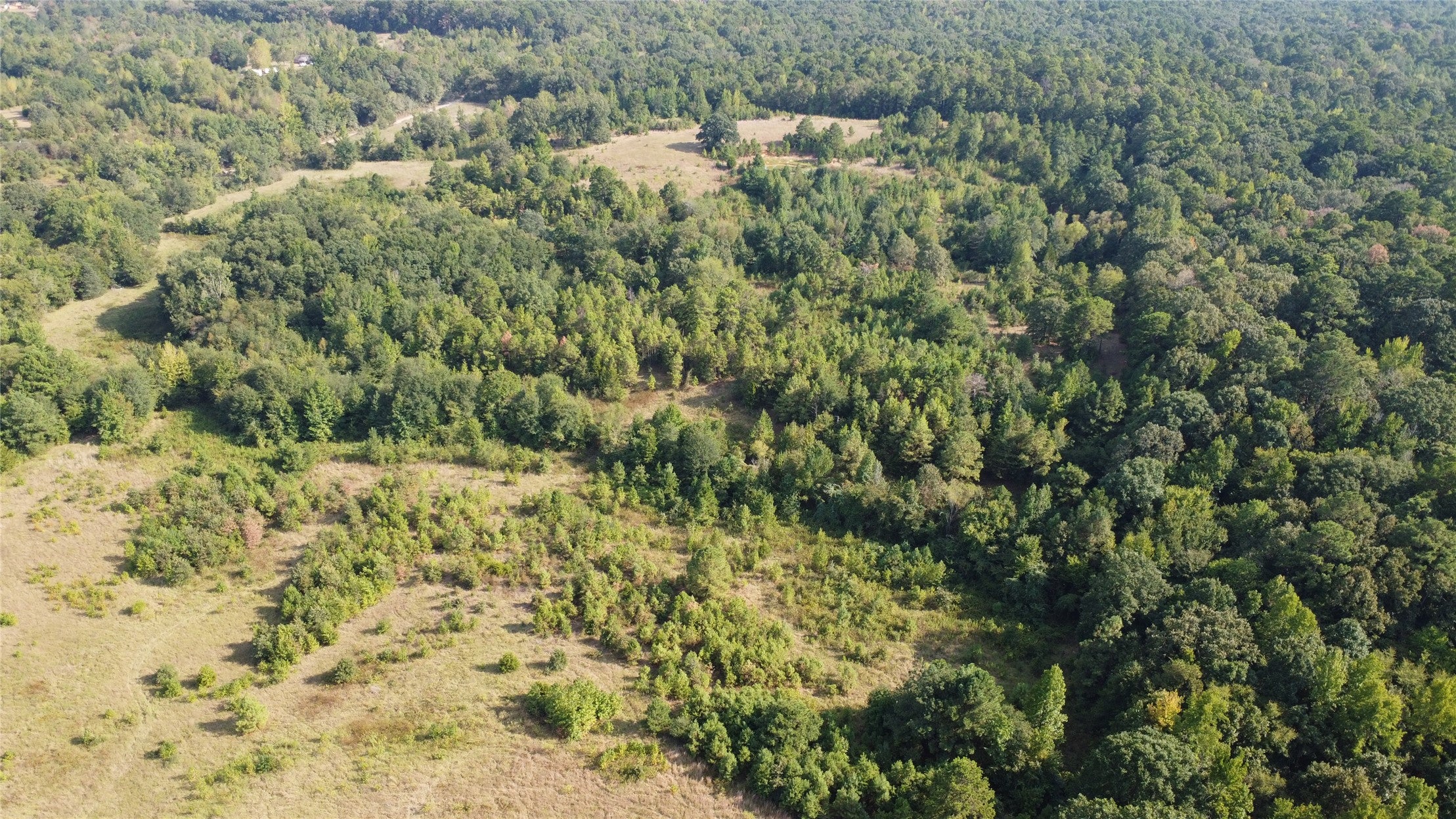 0000 Whippoorwill Road
