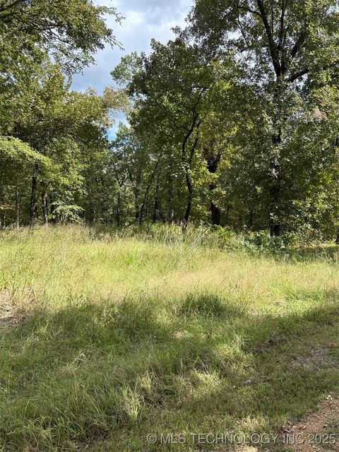 1427 W Easy Street Tishomingo OK 73460