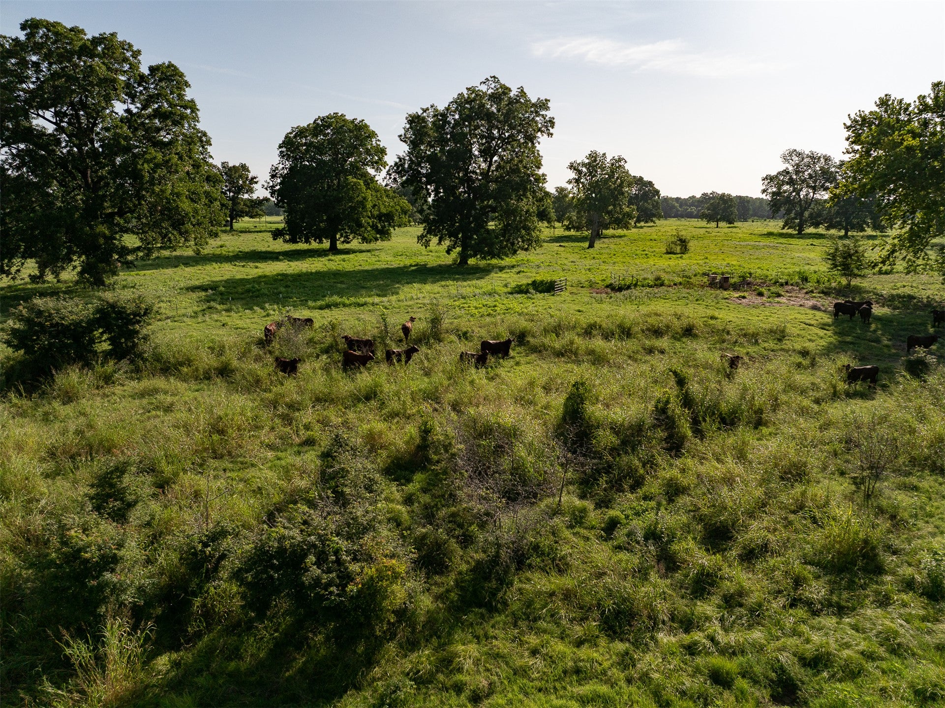 A rare opportunity to own one of Southeastern Oklahomas premier workin – image 31