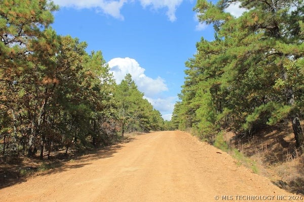 ADDRESS PRIVATE, ATOKA, OK 74525 - Image c1aff4d062cee2dc6e55cce6f063b0cf/3903688136