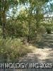 Purple Sage Drive