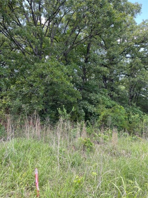 LANCE RD, DAVIS, OK 73030 - Image c8c984c1fc3d3d2b3706d40e5e1c863b/1680525537