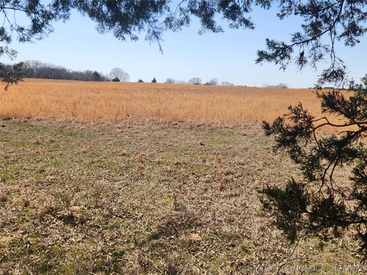 RESEARCH RD, LANE, OK 74555 - Image c9151d0fd9d3faadb68a61cff780b847/1770749975