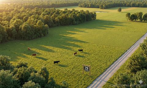 0075 S Timberline Atoka OK 74525