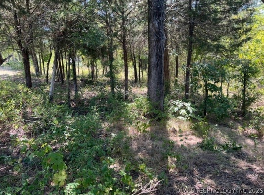 CHEROKEE ST, CANADIAN, OK 74425 - Image cf1f86a1c1d1d1a3e52c19efe0e67b54/554012120