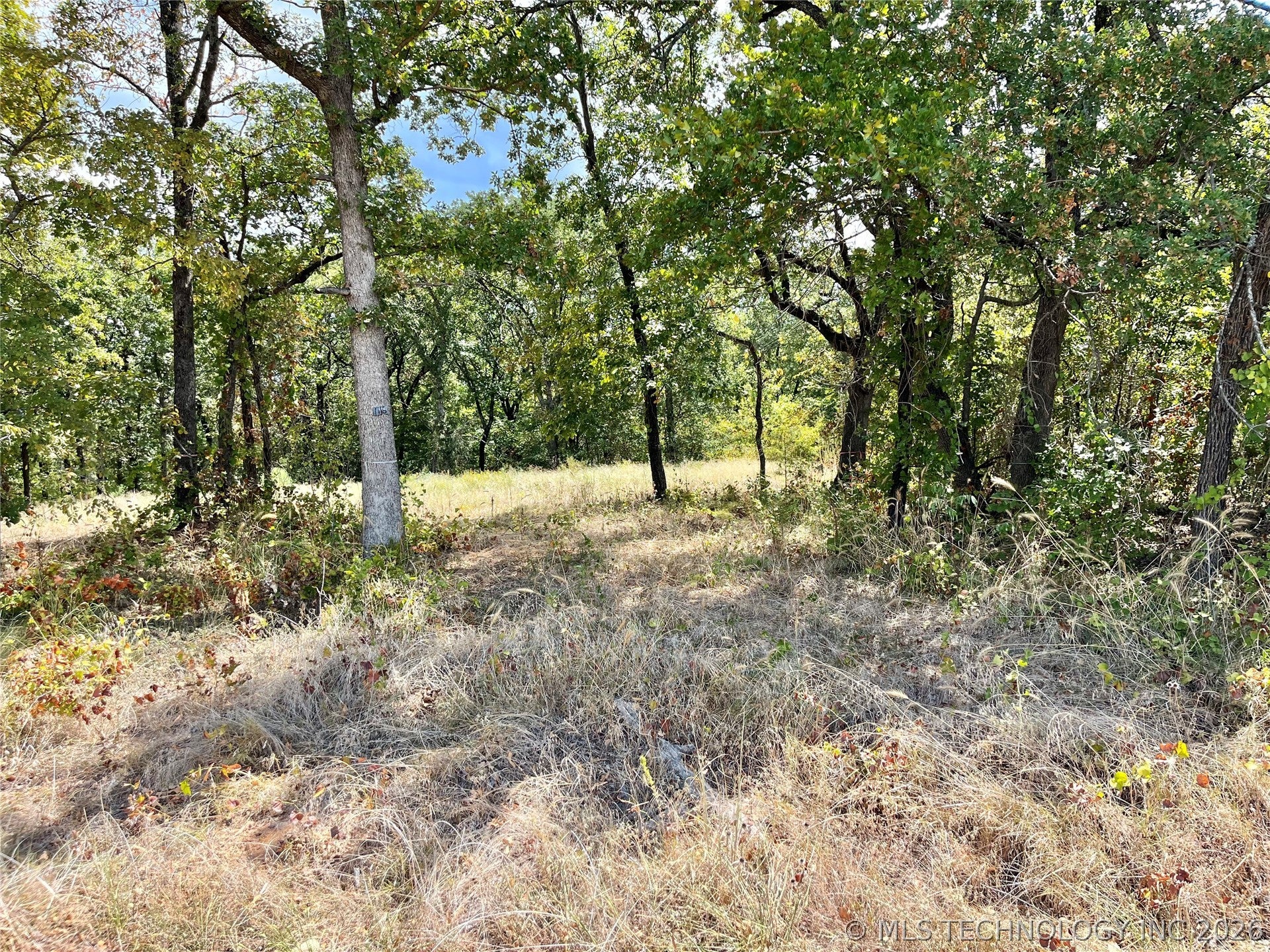 Texoma Park Road