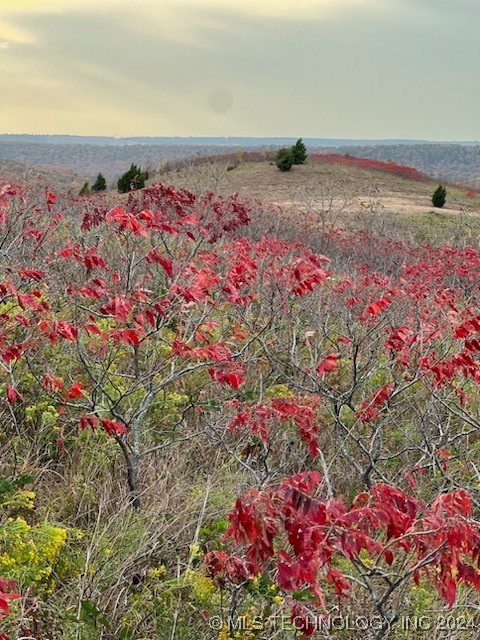 Photo 5 of 25 of 6658 Bratton Road land