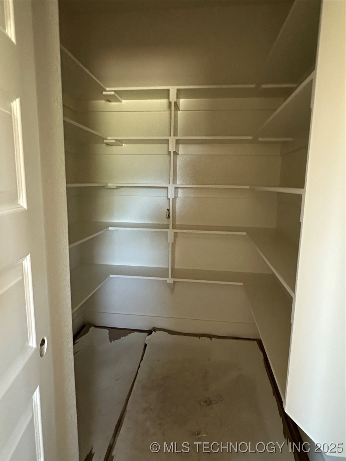 204 Wilson Loop