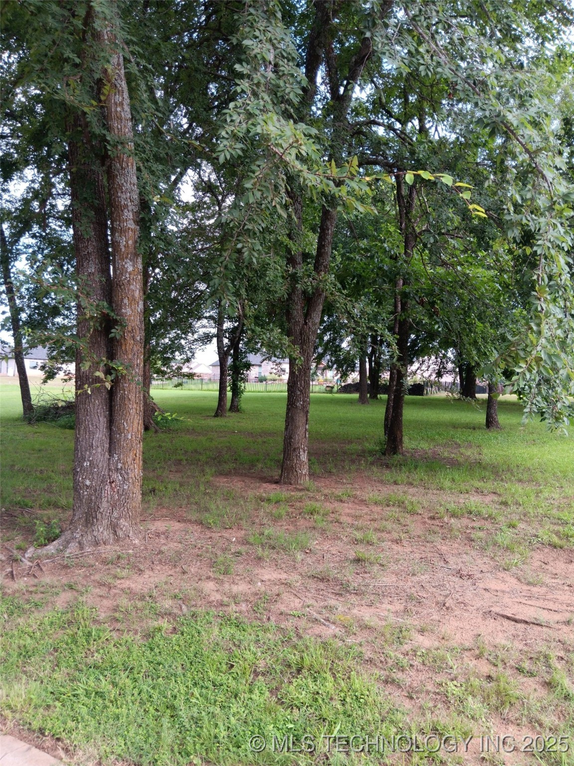 Wilderness Road