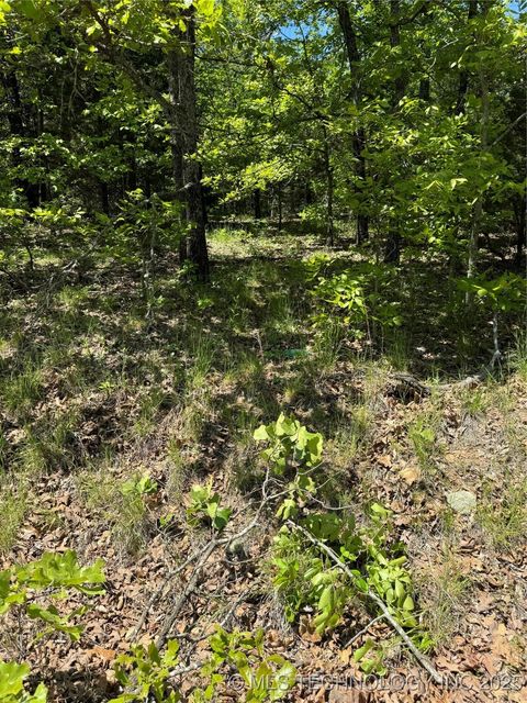 Photo of 27 S 4532 Road, Vian, OK 74962 (MLS # 2550168)