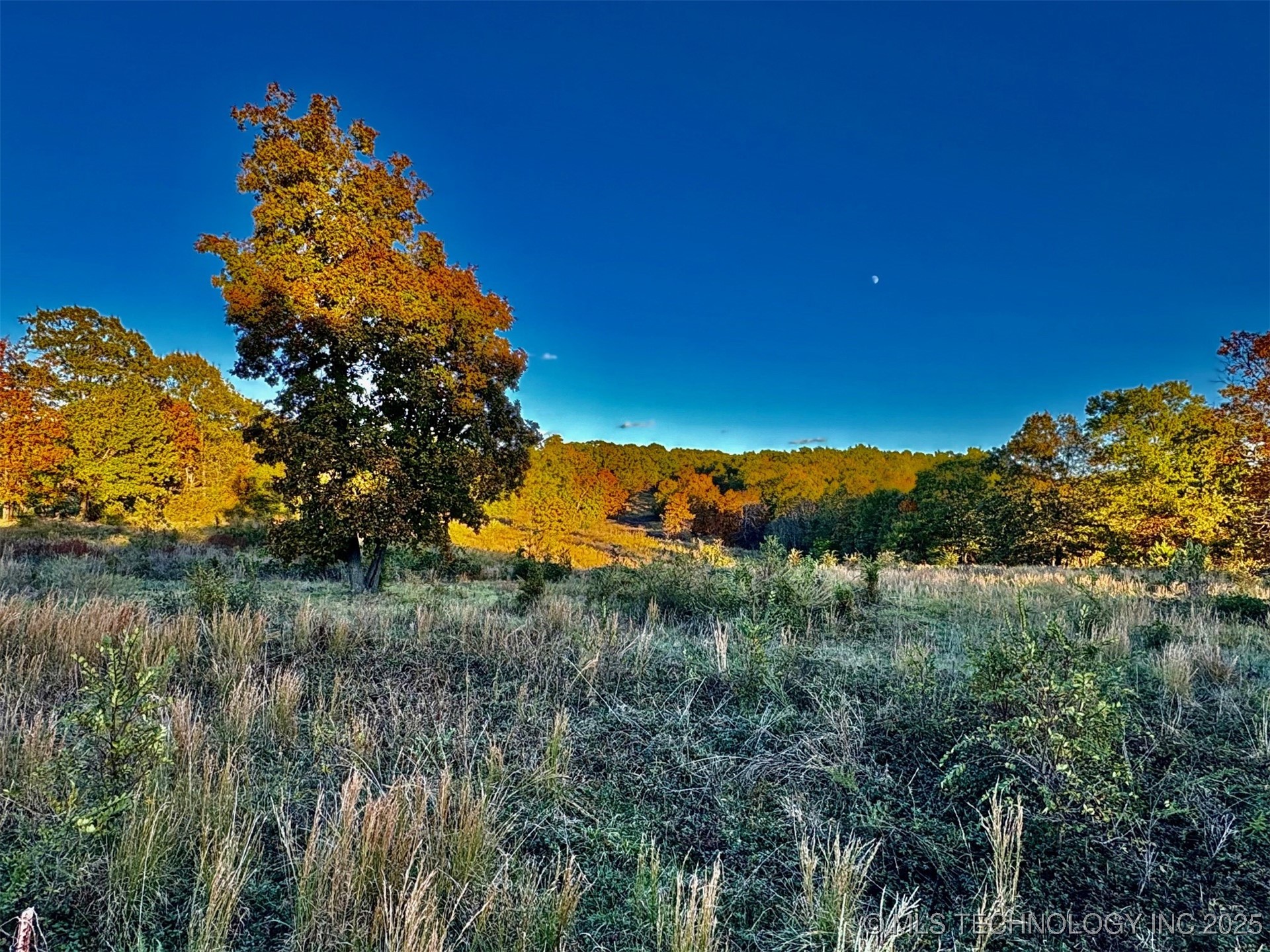 Photo 1 of 2 — S Welling Road, Welling, OK 74471