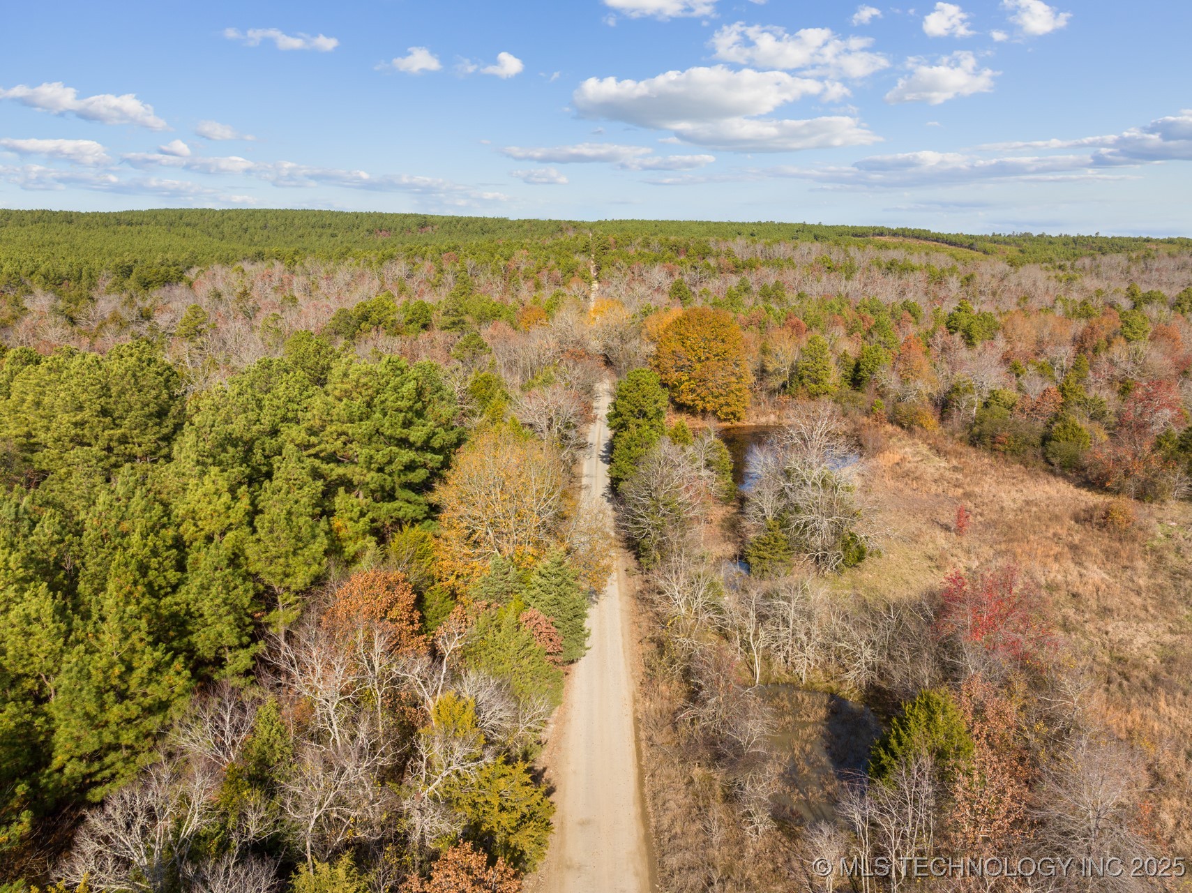 50 Tram Trail