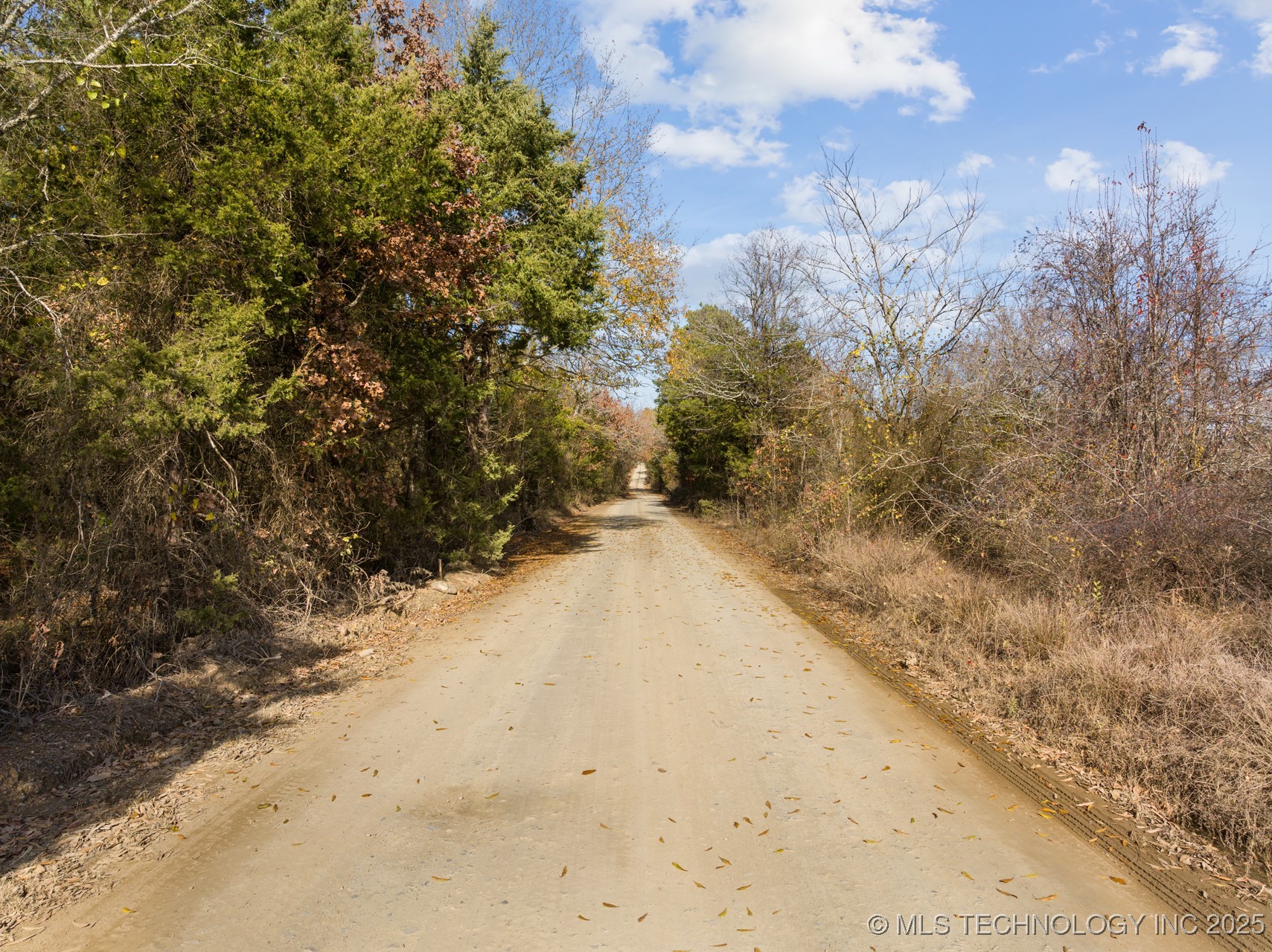 50 Tram Trail