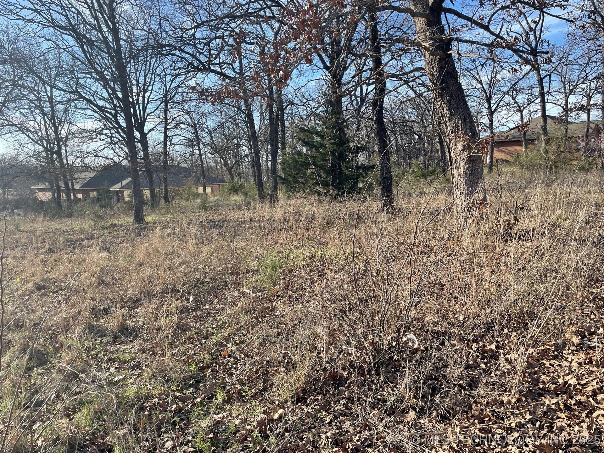 Bridlewood Drive