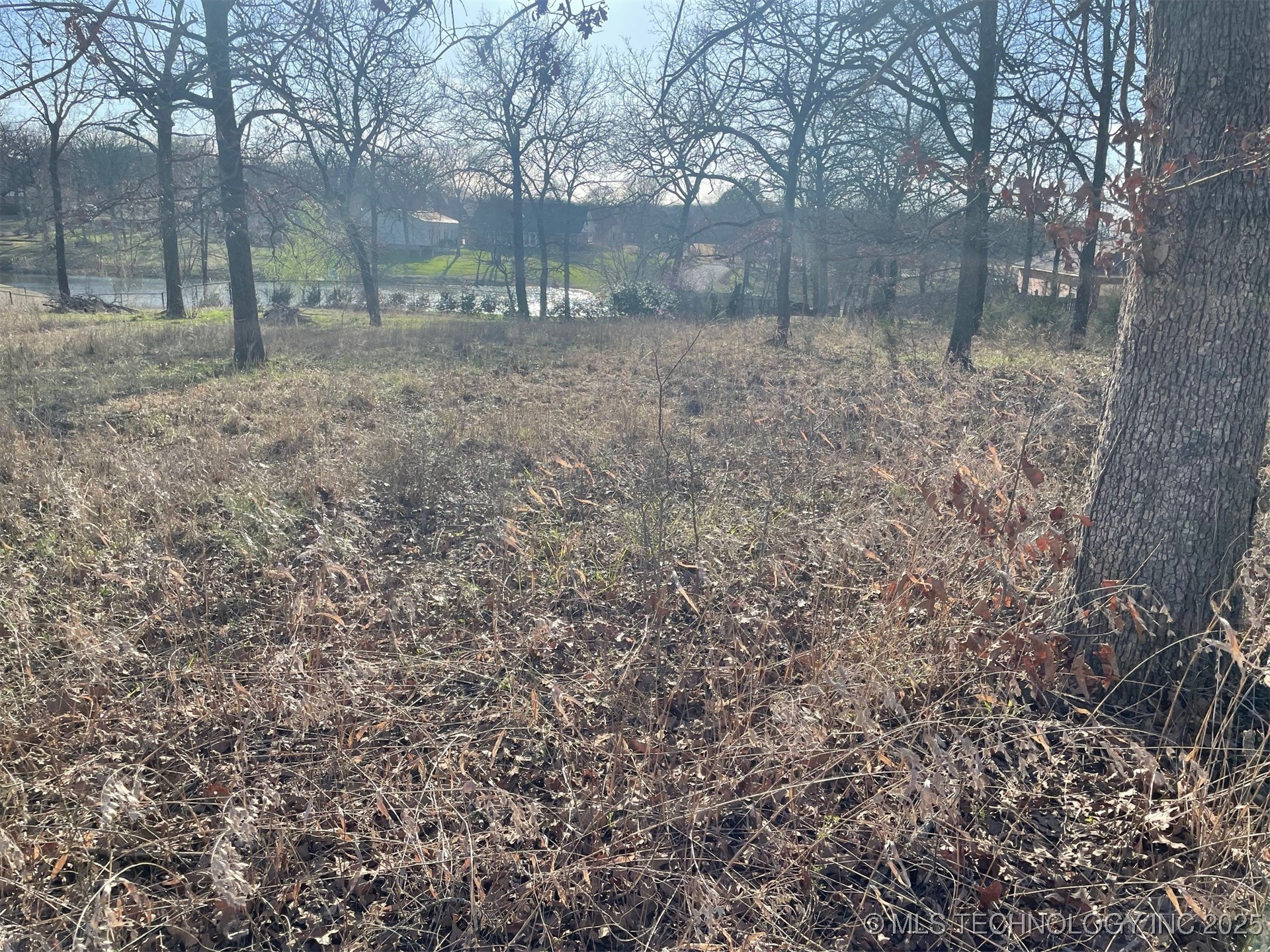 Bridlewood Drive