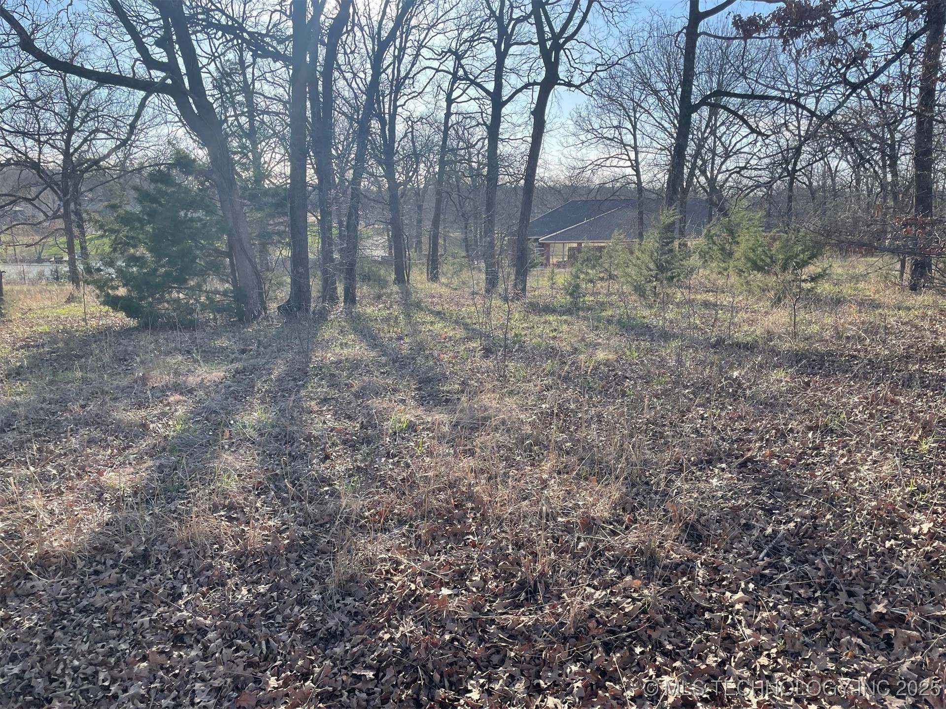 Bridlewood Drive