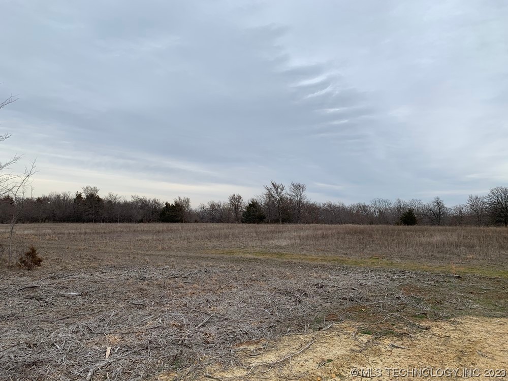 Photo 10 of 11 of 109025 N County Road 3850 Road land