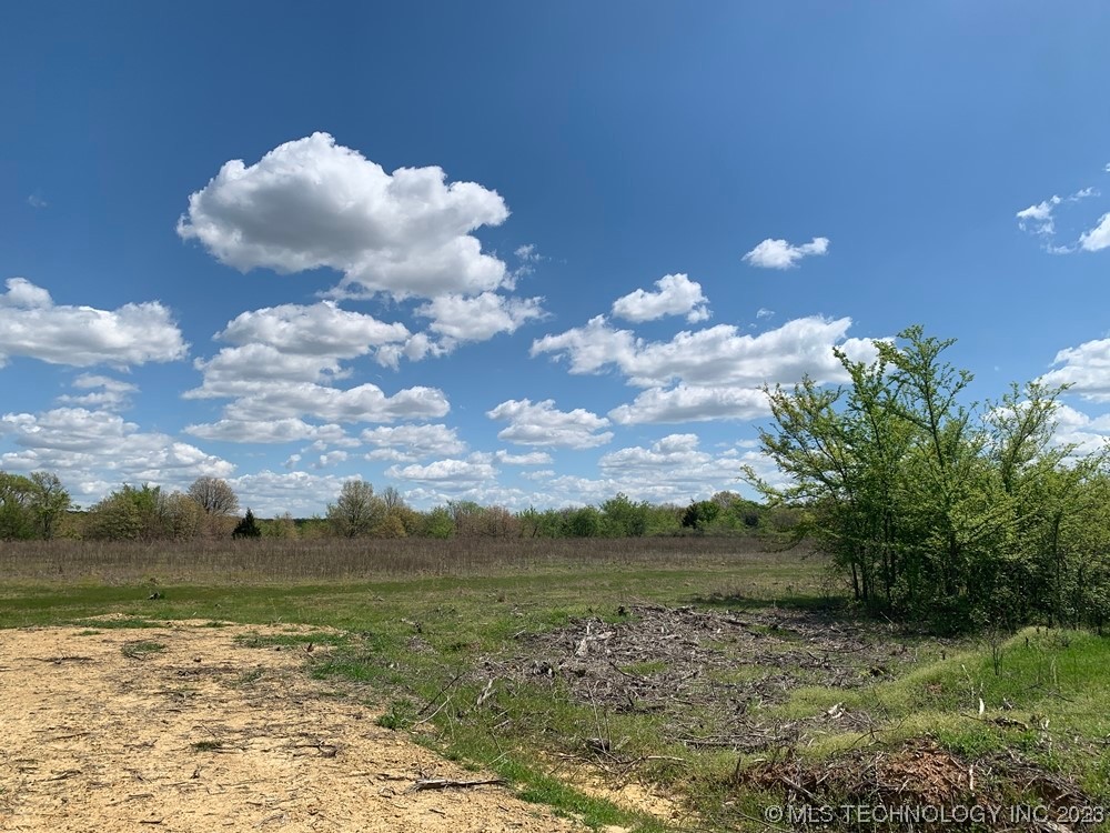 Photo 4 of 11 of 109025 N County Road 3850 Road land