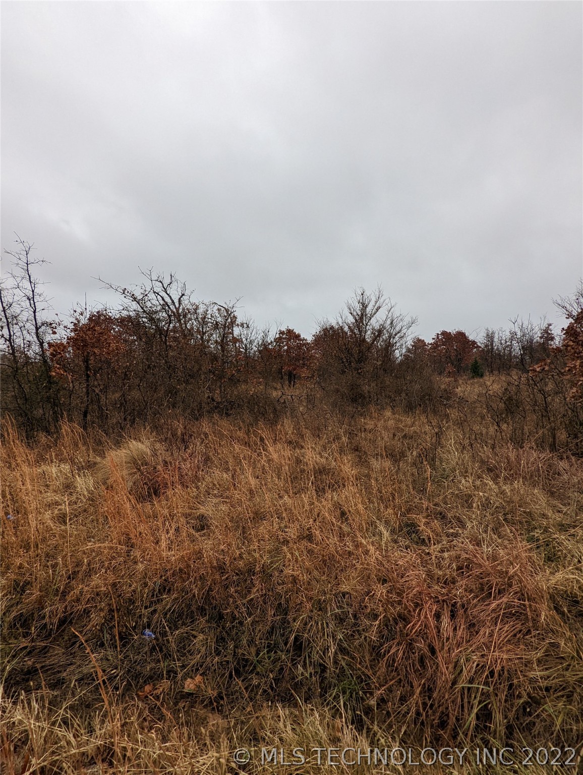 Photo 4 of 10 of 11591 S 337th West Avenue land