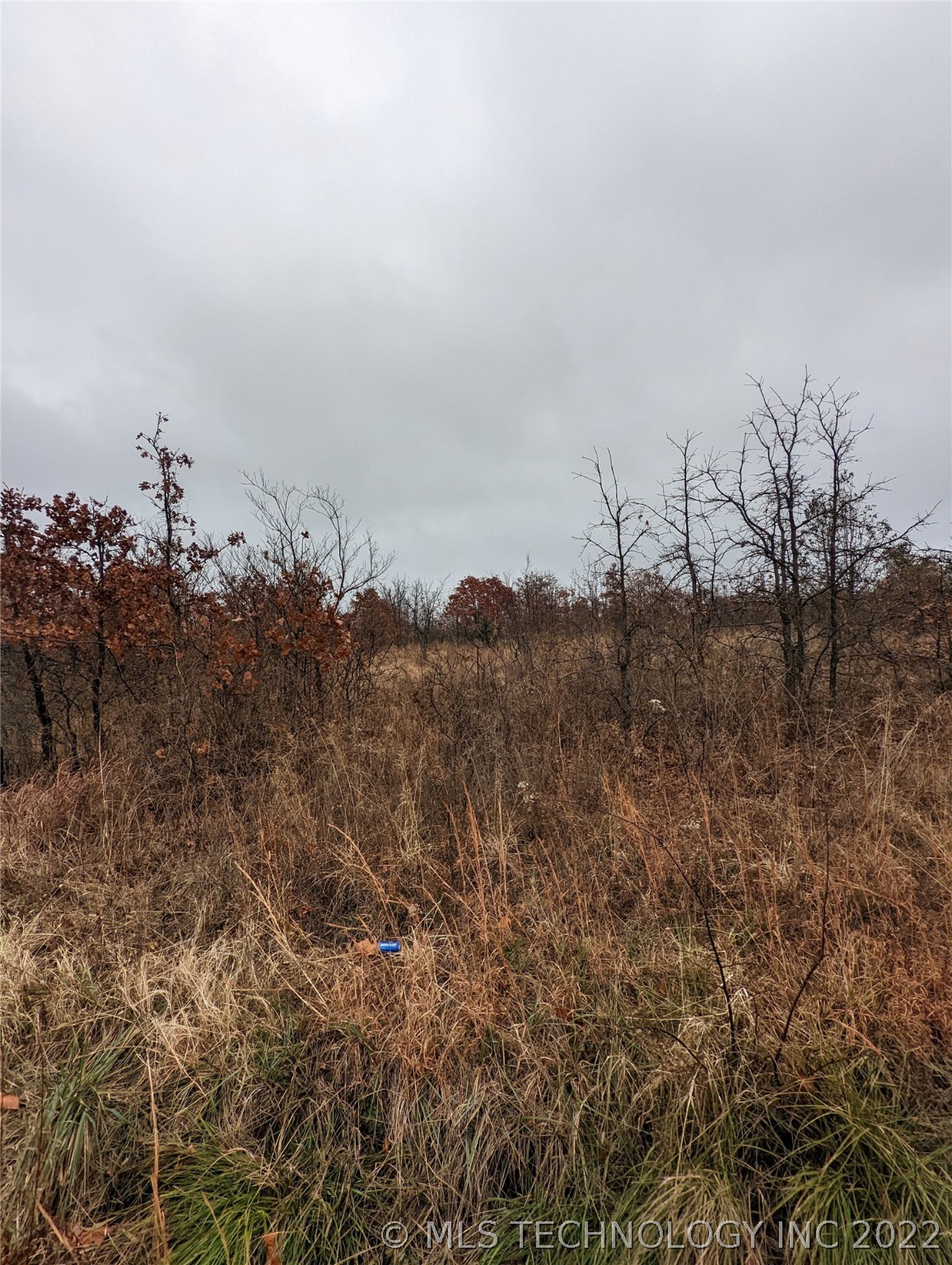 Photo 6 of 10 of 11591 S 337th West Avenue land