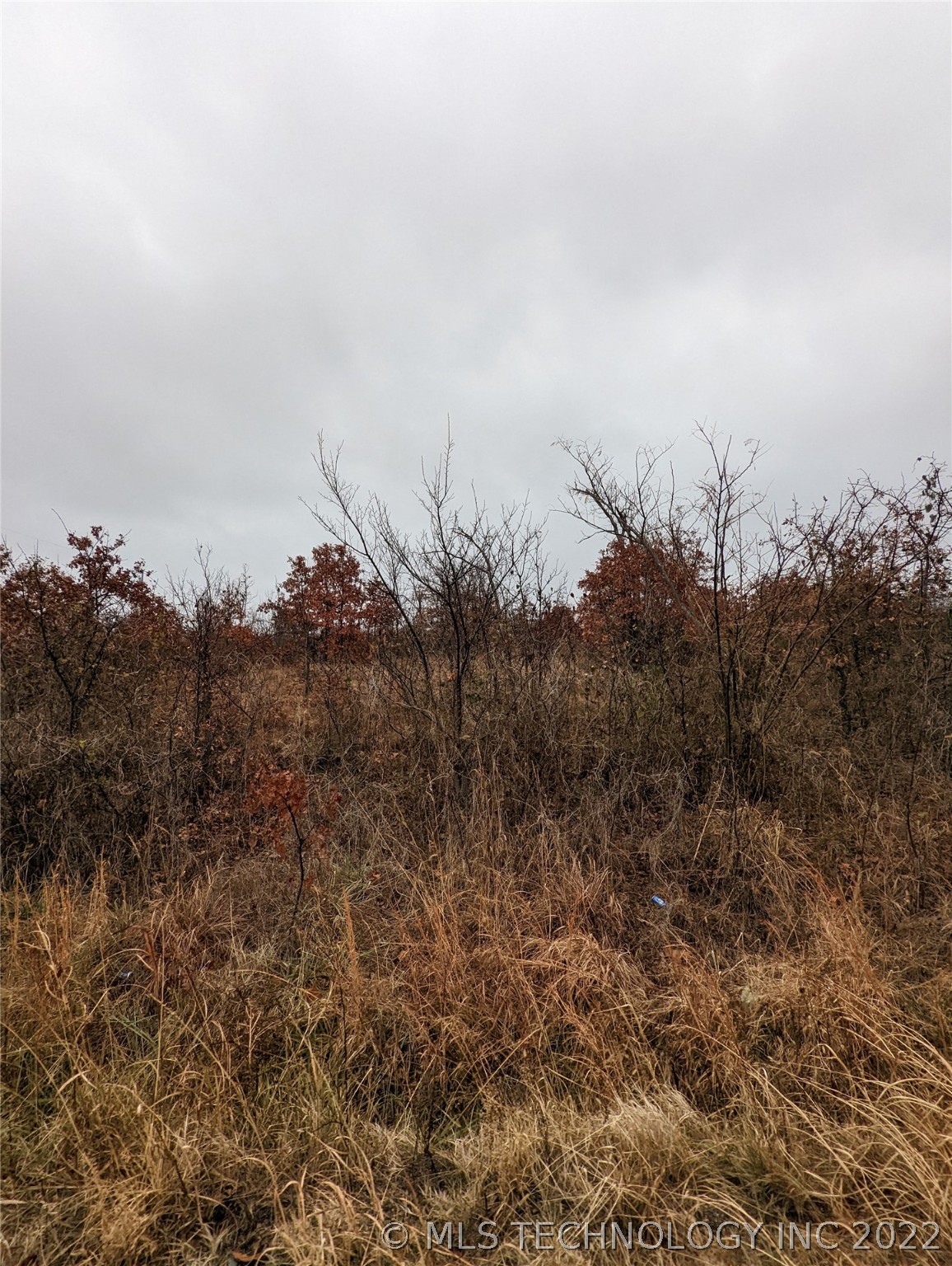 Photo 5 of 10 of 11591 S 337th West Avenue land