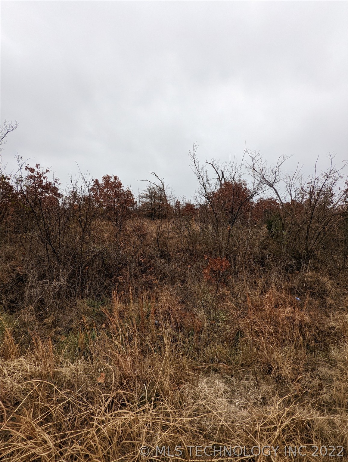 Photo 3 of 10 of 11591 S 337th West Avenue land