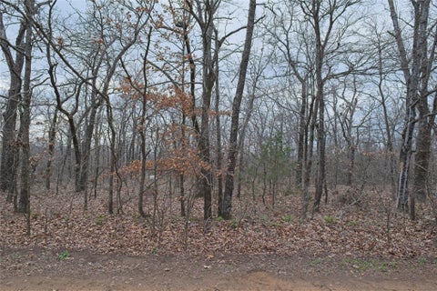 Photo of S 4547 Drive, Vian, OK 74962 (MLS # 2633874)