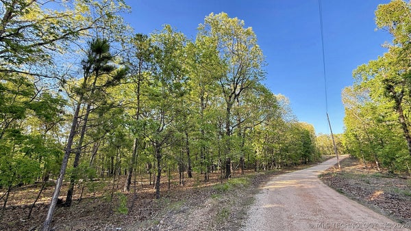 187 BEAR LAKE RD, KANSAS, OK 74347 - Image e3d55dfd5018aa4ab0897faf07bba527/3705539013
