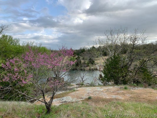6 BRANDY LN, TISHOMINGO, OK 73460 - Image e58e6c9c3ba88e8b49adbfdcf0e27cb6/3823477653