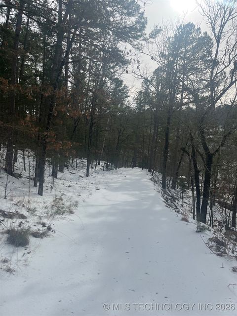 34 Tram Trail Moyers OK 74557