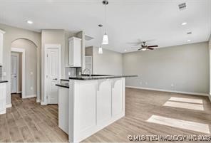 1181 Wild Indigo Circle