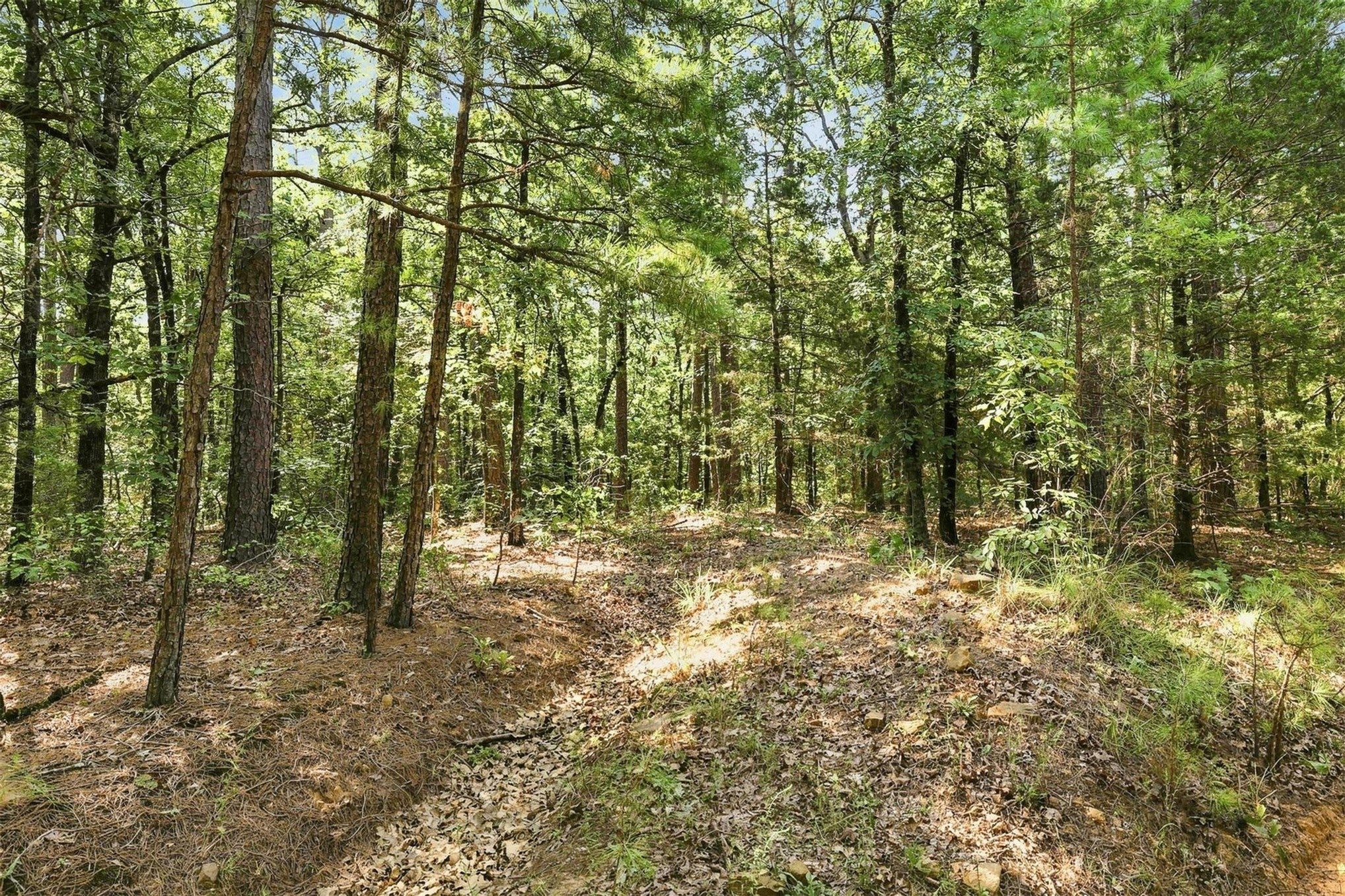 45 Buck Creek Road