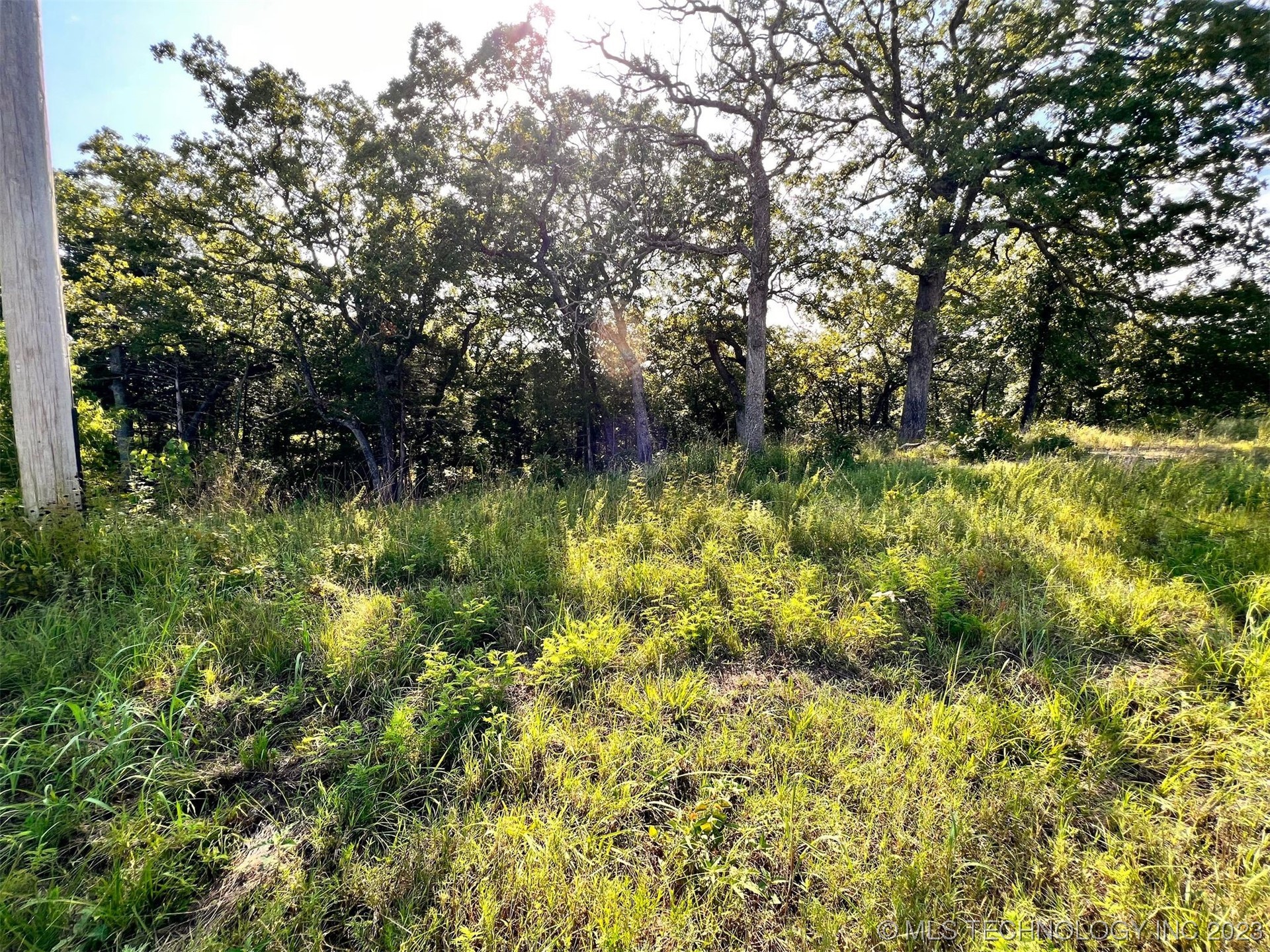 Photo 3 of 7 of 6097 County Road 3560 land
