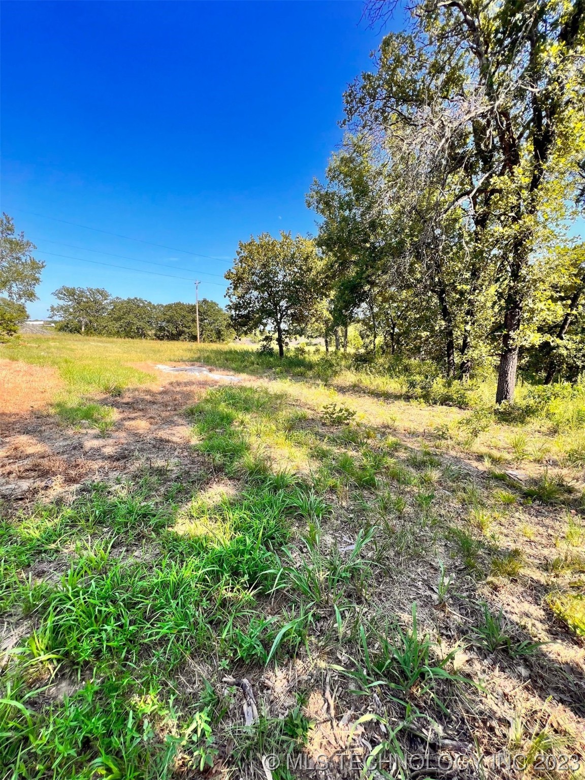 Photo 4 of 7 of 6097 County Road 3560 land