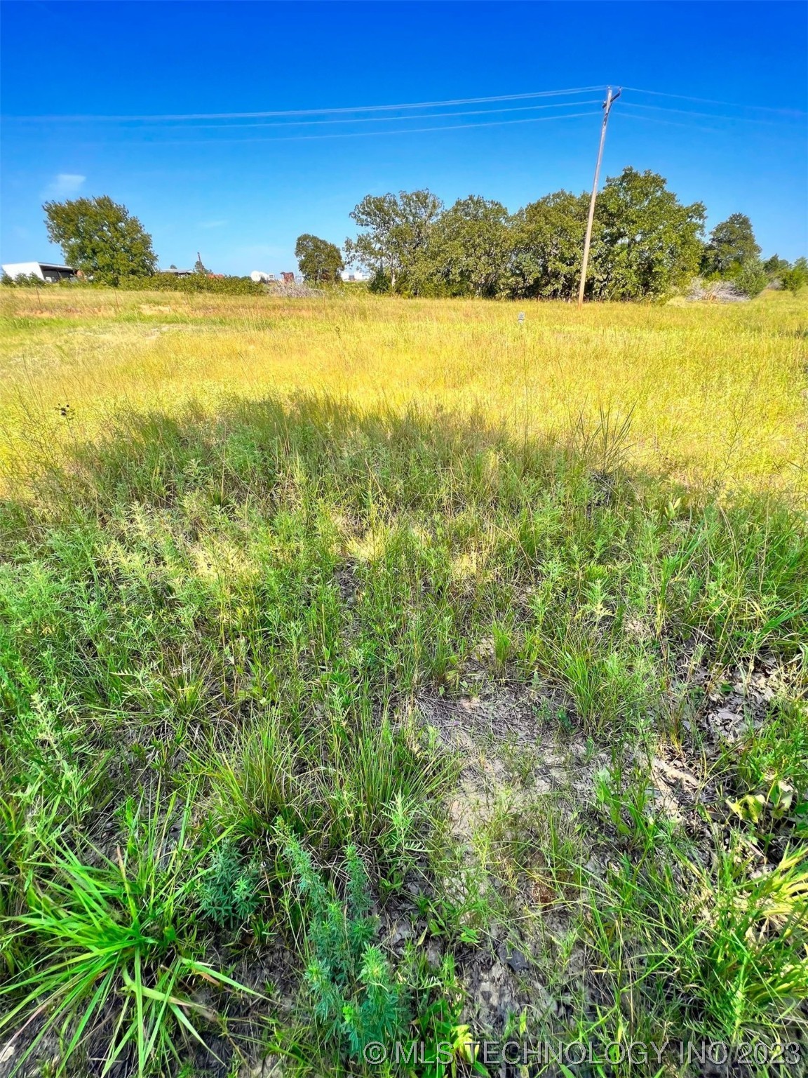Photo 2 of 7 of 6097 County Road 3560 land