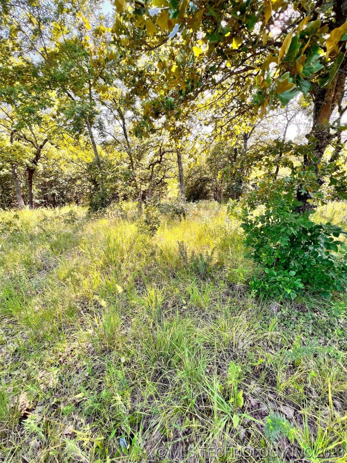 Photo 5 of 7 of 6097 County Road 3560 land